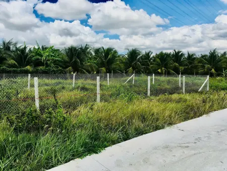 Đất vườn Bến Lức